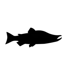 Salmon Fish Silhouette