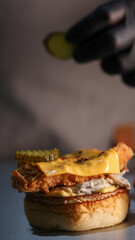 Hamburger for stock photos and menus 