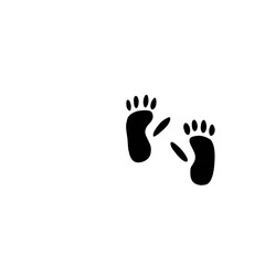 Animals footprints
