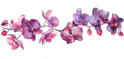 orchid flower set watercolor vector illustration.isolated white background. wedding invitation,...