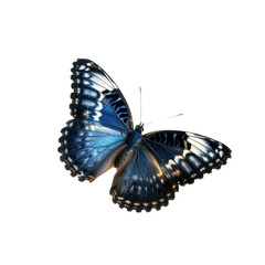 Fototapeta na wymiar Cyan blue butterfly flying transparent background