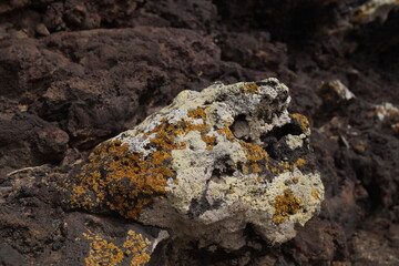 roccia vulcanica antica