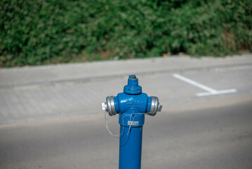 blue fire hydrant in the street