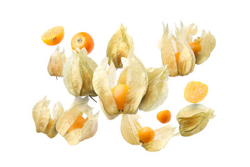 Ripe orange physalis fruits with calyx falling on white background
