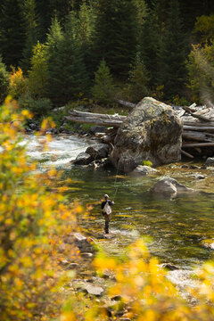 Man fly fishing on river in the forest fall leaves