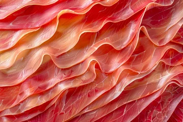 Foto op Canvas thinly sliced jamon © megavectors