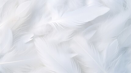 Fototapeta na wymiar Soft White Feathers Texture Close-Up for Serene Background