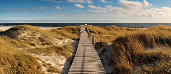 wooden walkway through the dunes in the Netherlands - obrazy, fototapety, plakaty