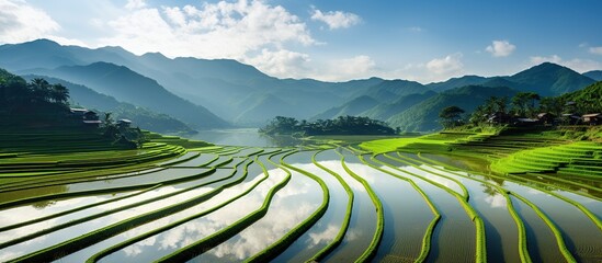 Terraced rice field in water season - obrazy, fototapety, plakaty