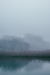 Fog and lake . Frost on lake . Blue morning . Fogy morning . Forest and lake . Trees on the lake . Blue water . Mystery nature . Landscape with fog . Morning at winter . Blue houre 