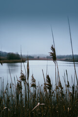 Fogy mystery blue lake at morning . Water reflaction. Lake and forest . Winter fog . Landscape with fog 
