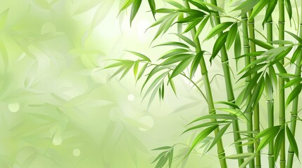 Tranquil bamboo forest and lush green meadow in soft natural light, artistically blurred
