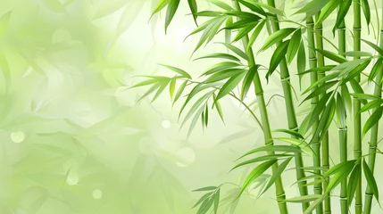Deurstickers Tranquil bamboo forest and lush green meadow in soft natural light, artistically blurred © Ilja