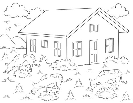 detailed cows animal coloring pages for adults. you can print it on standard 8.5x11 inch paper