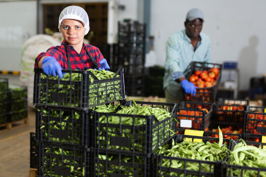 Young woman working in vegetable storehouse, carrying crate full of green pea pods. African-american man stacking crate of tomatoes in background.