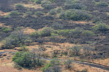KAIWI STATE SCENIC SHORELINE, MAKAPUU POINT HONOLULU OAHU HAWII. Hawaiian tropical low shrublands

