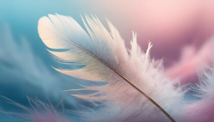  feather on soft hues background, symbolizing lightness and grace. Perfect for gentle concepts