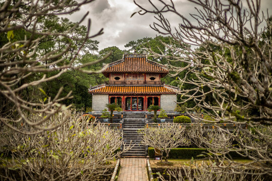 Tranquil Vietnamese Temple Through Branches