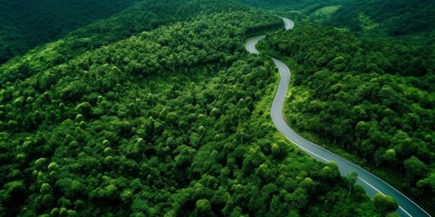 highway in the middle of the forest, bird's eye view Generative AI