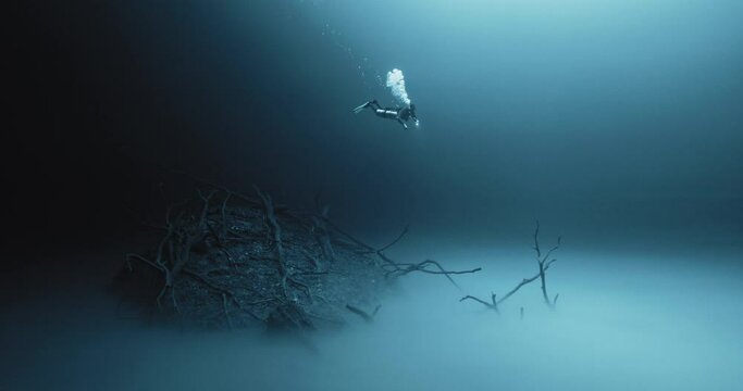 Scuba Diver going down to Seabed
