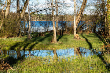 Spring scene on a sunny day by the lake of the Katzenseen nature reserve, Regensdorf, Switzerland.