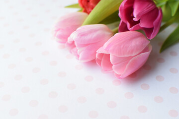 Bouquet of colorful spring tulips for Mother's Day or Women's Day on a pink background. Top view in flat style.