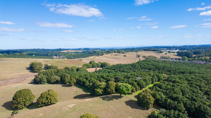 オーストラリアの田舎町・Lismore付近の綺麗な青空と森林