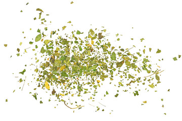 Organic Moringa green tea isolated on white