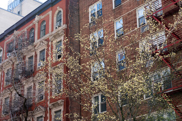Manhattan street houses in New York