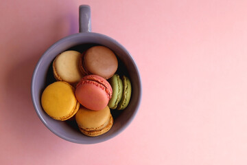 Purple cup filled with pastel macarons on pink background. Top view.