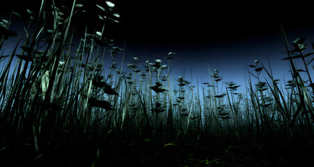 tall grass in the dark is bathed by the moonlight - Powered by Adobe