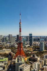 The view of downtown Tokyo and a large tower as seen from an observation deck