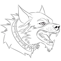 The head of an angry dog in a collar with spikes and bared fangs isolated on a white background.