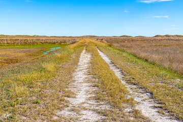 Dirt Road Leading To The Beach at The Historic Novillo Line Camp, Padre Island National Seashore, Texas, USA