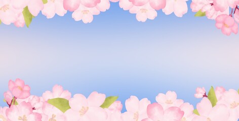 pink sakura flower on a blue background - obrazy, fototapety, plakaty