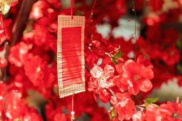 Little cards with new year's wishes are hanging at the Chinese lunar new year wish tree