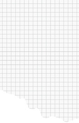 Ripped Graph Paper