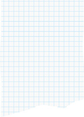 Ripped Graph Paper