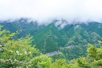 雲海に包まれたナメゴ谷の情景