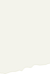 Obraz premium Ripped Paper