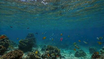 Fototapeta na wymiar Life of under water sea 