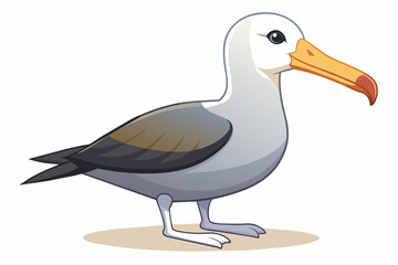 Albatross vector with white background.