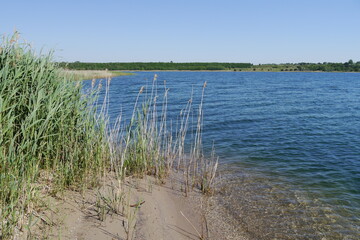 Renaturierter Tagebau Gremminer See bei Gräfenhainichen und Bitterfeld in Sachsen-Anhalt
