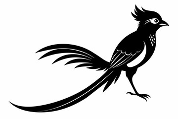 Fototapeta premium Asian paradise flycatcher black silhouette vector design.