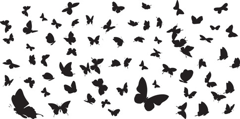 group of flying birds silhouette illustration