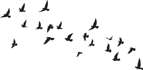 group of flying birds silhouette illustration