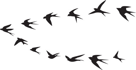 group of flying birds silhouette illustration