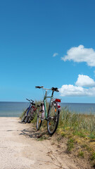 A bike is parked on the side of a dirt road next to the ocean, with spring flowers blooming nearby. Romantic shores of Baltic sea.