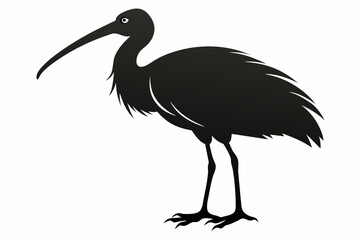 Black-headed ibis black silhouette vector  design.