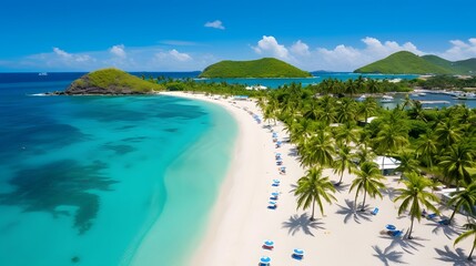 Aerial view of beautiful tropical beach with palm trees and blue sky